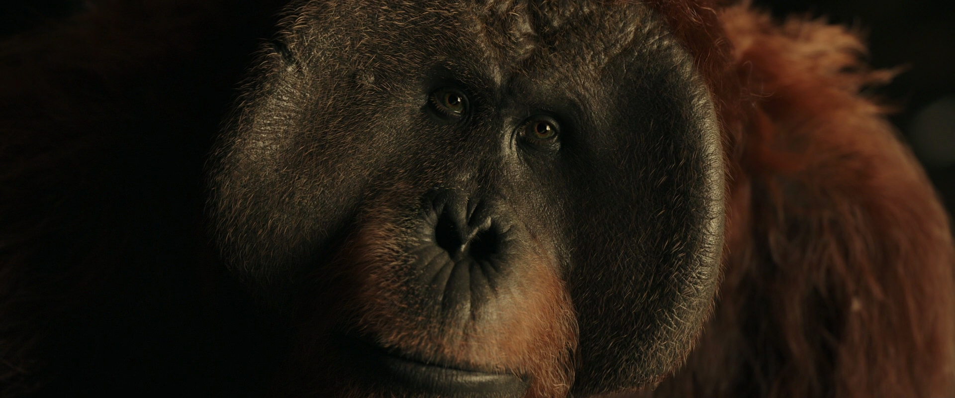 War for the Planet of the Apes (2017) movie still 3682