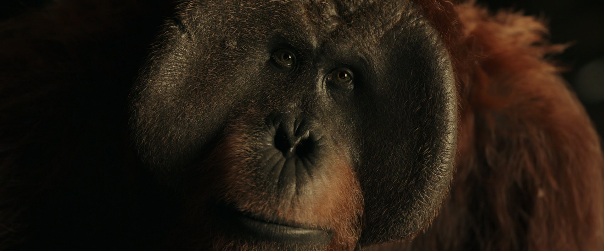 War for the Planet of the Apes (2017) HD screenshot 3683
