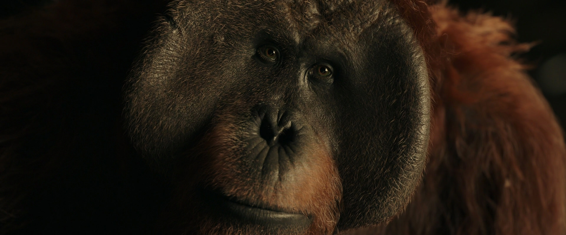 War for the Planet of the Apes (2017) screencap 3684