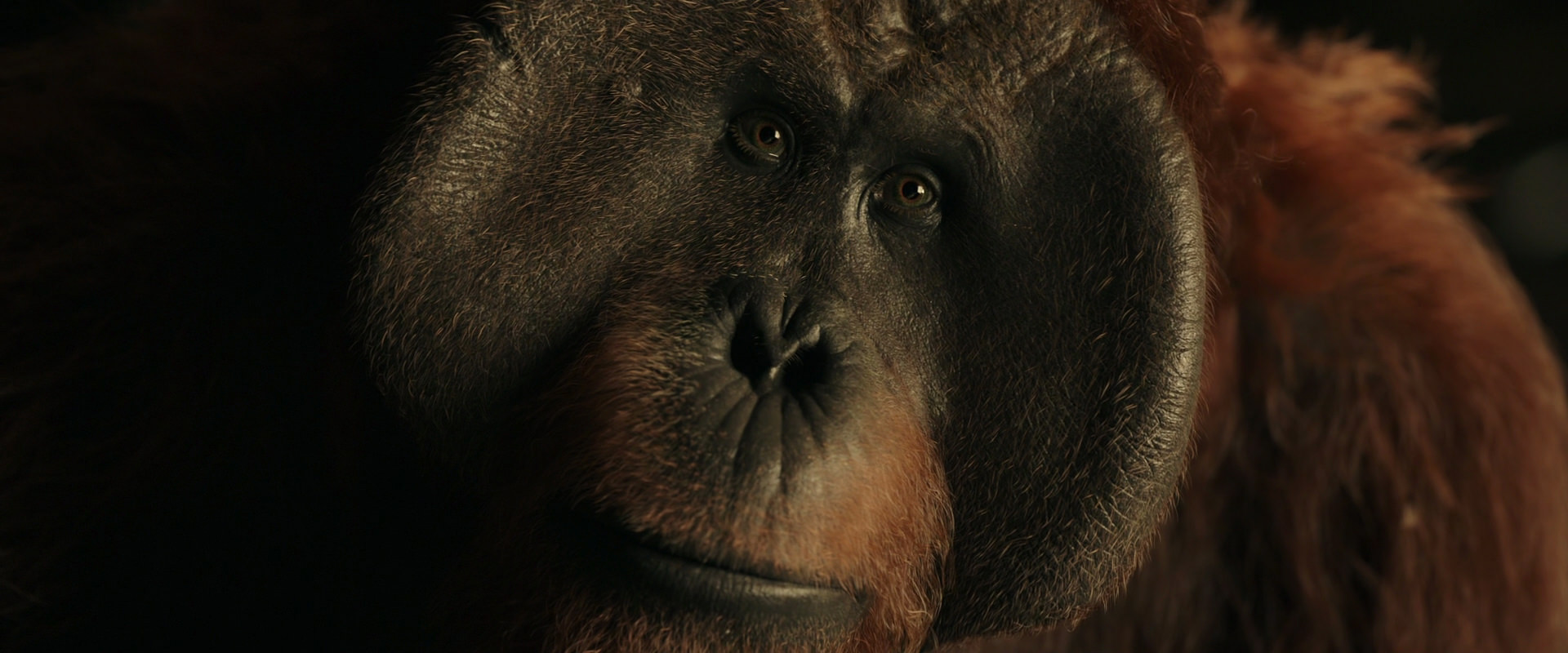 War for the Planet of the Apes (2017) movie still 3685