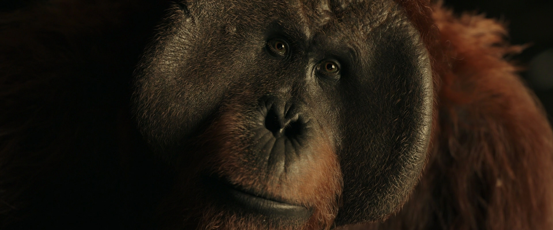 War for the Planet of the Apes (2017) HD screenshot 3686
