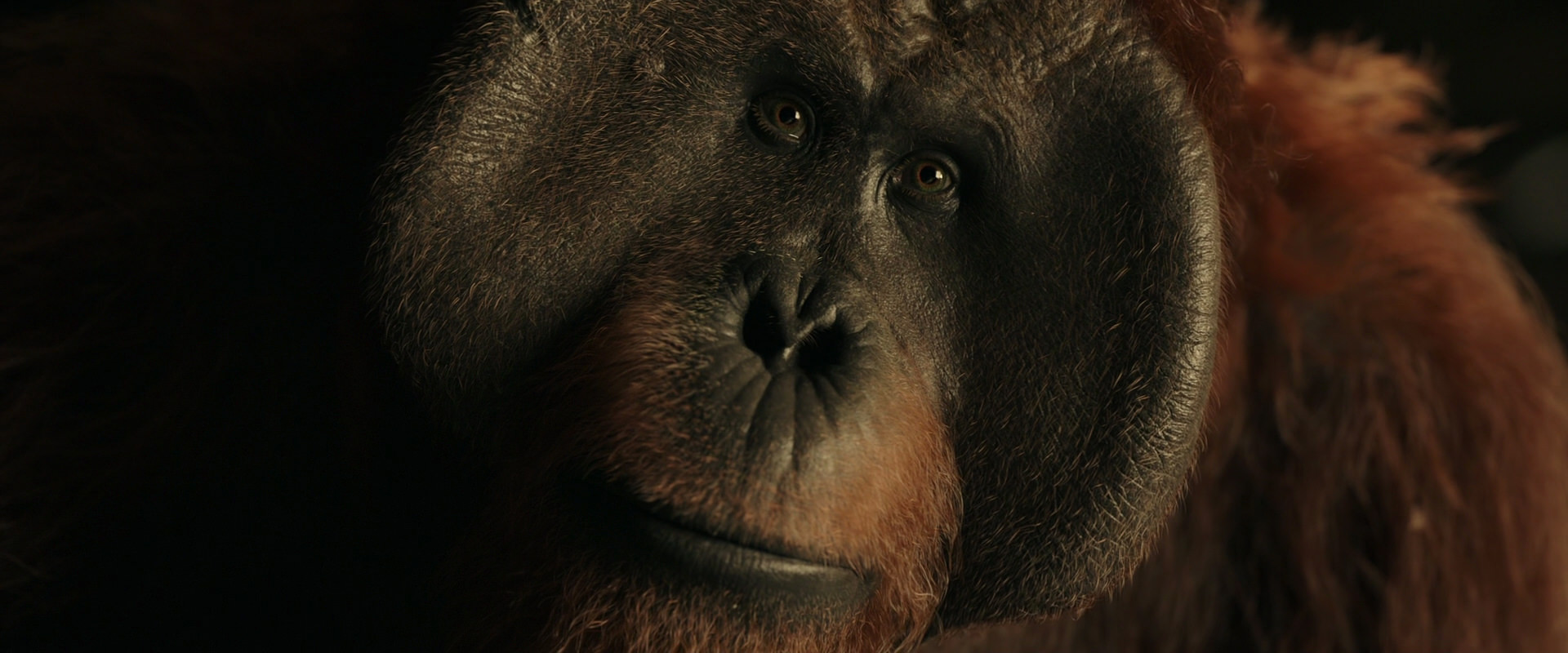 War for the Planet of the Apes (2017) screencap 3687