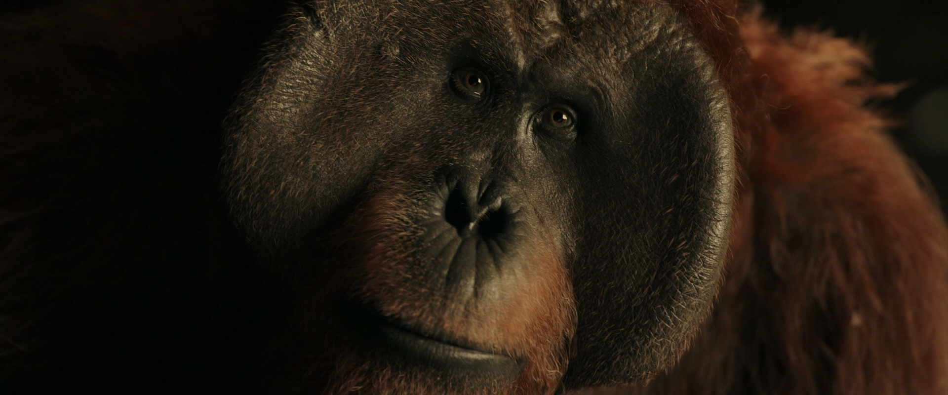 War for the Planet of the Apes (2017) movie still 3688