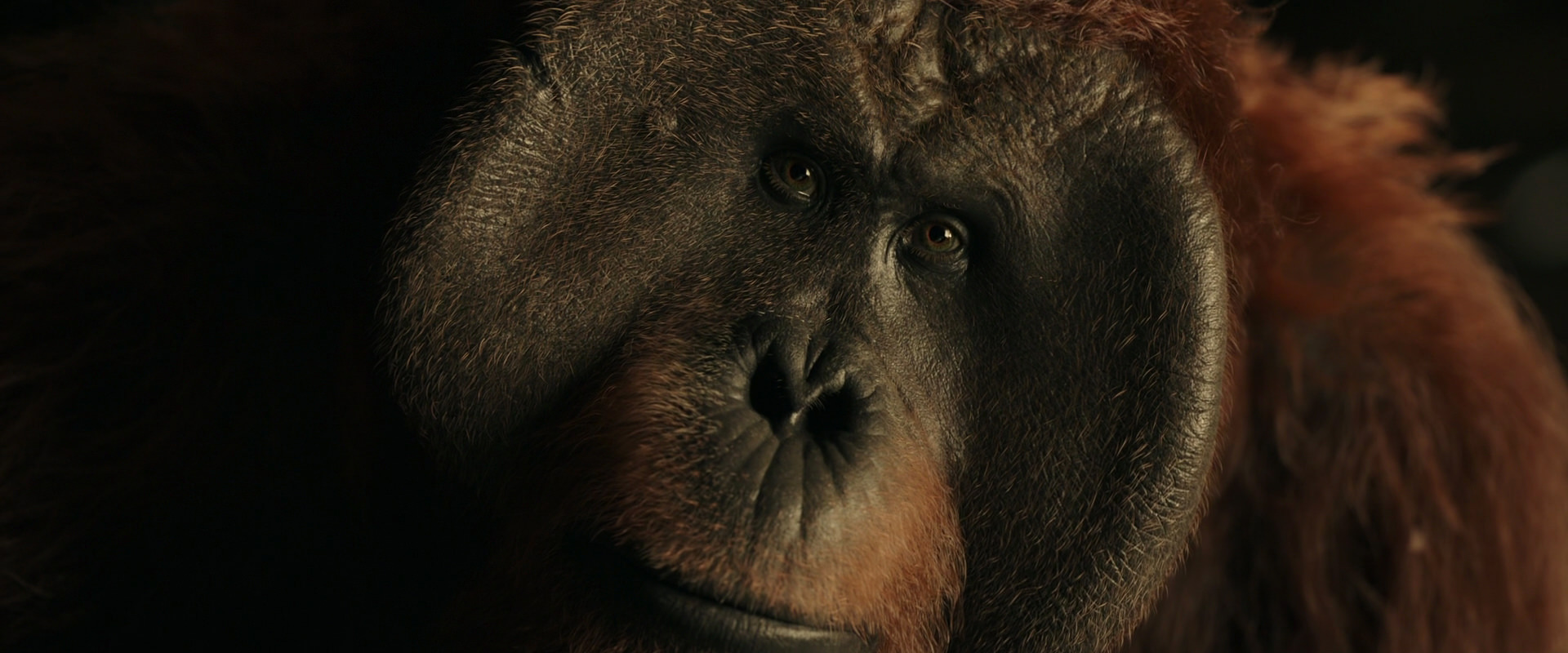 War for the Planet of the Apes (2017) HD screenshot 3689