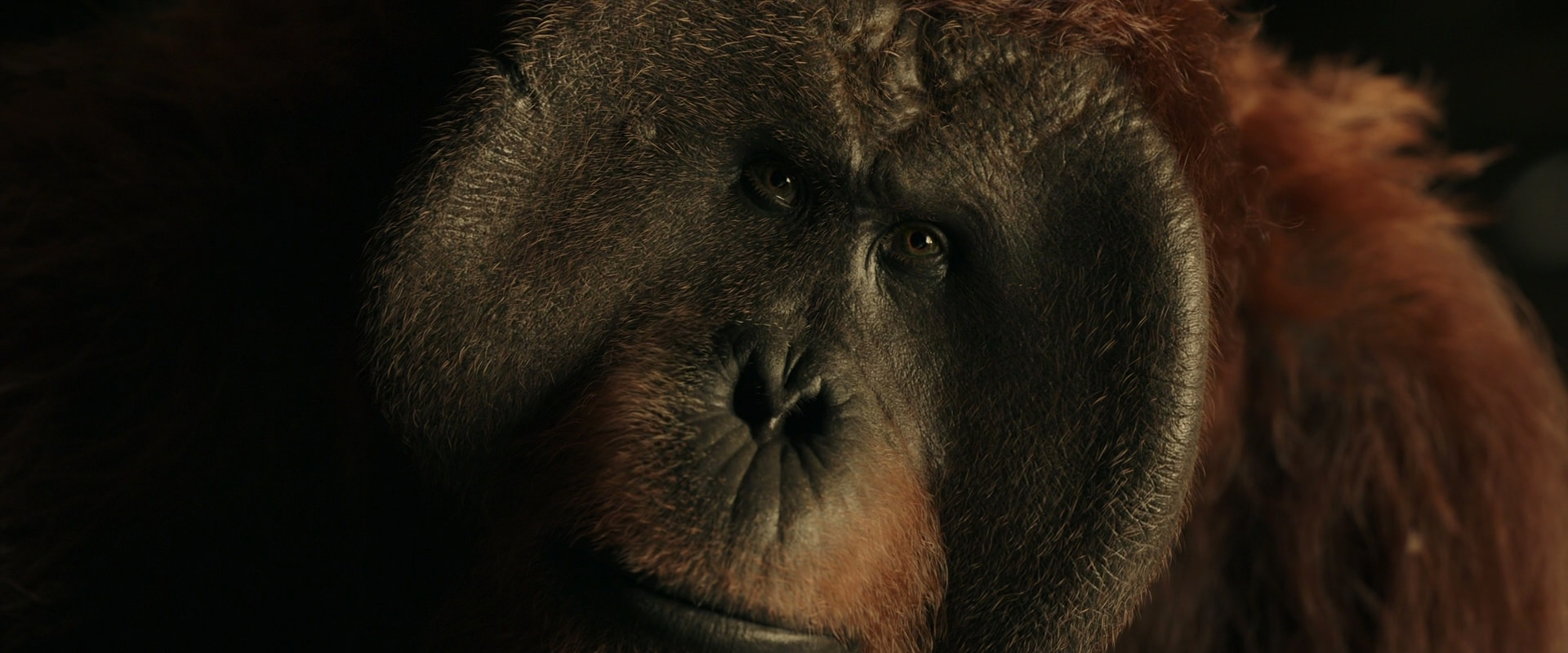 War for the Planet of the Apes (2017) screencap 3690