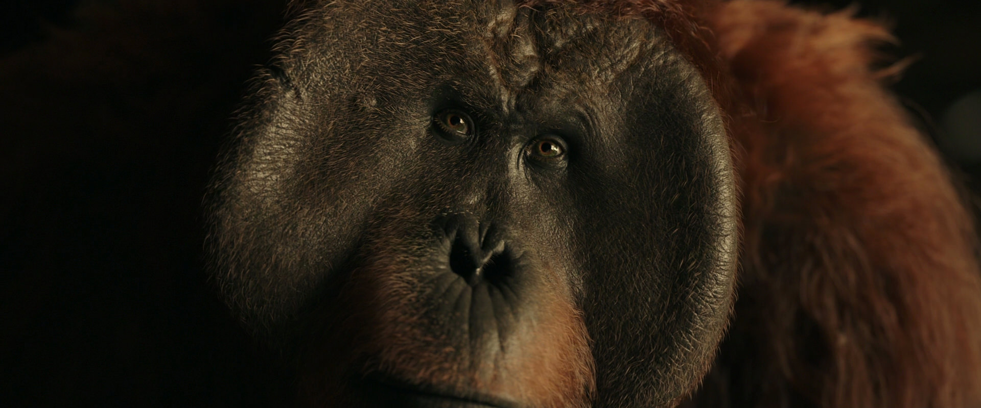 War for the Planet of the Apes (2017) screencap 3696