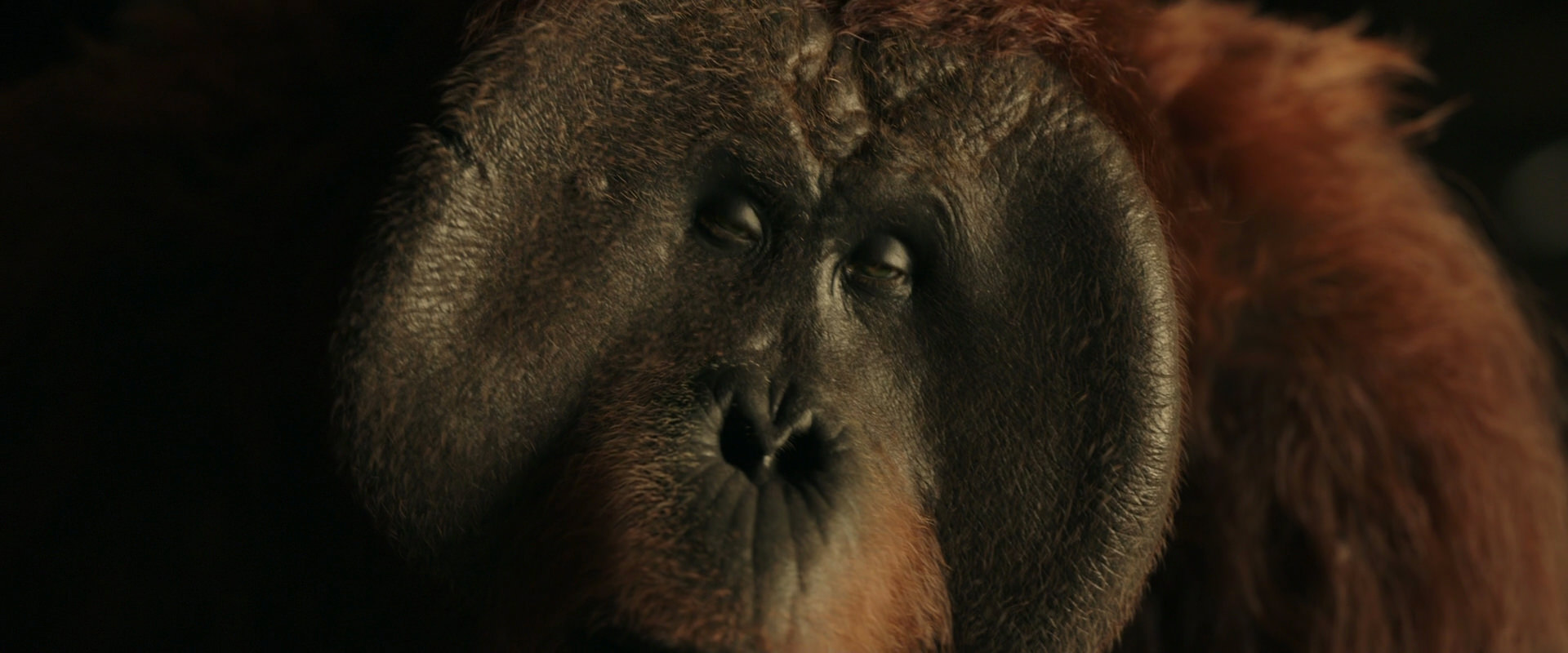War for the Planet of the Apes (2017) movie still 3697