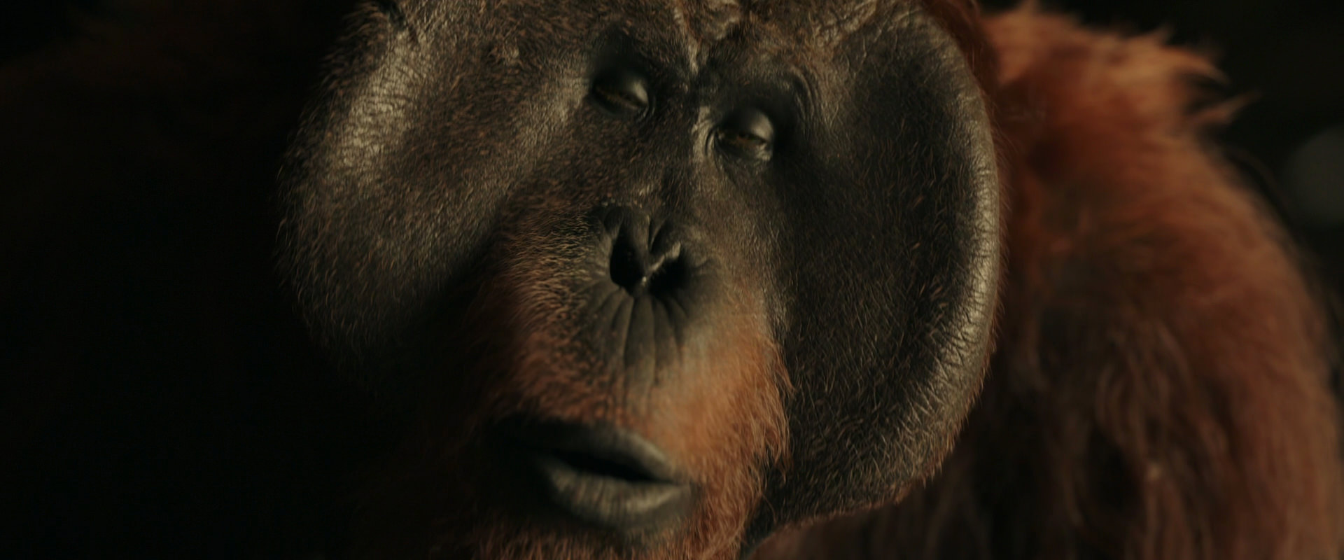 War for the Planet of the Apes (2017) HD screenshot 3698