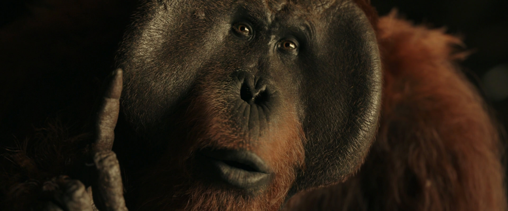 War for the Planet of the Apes (2017) screencap 3699