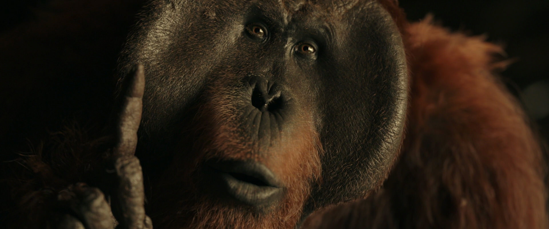 War for the Planet of the Apes (2017) movie still 3700