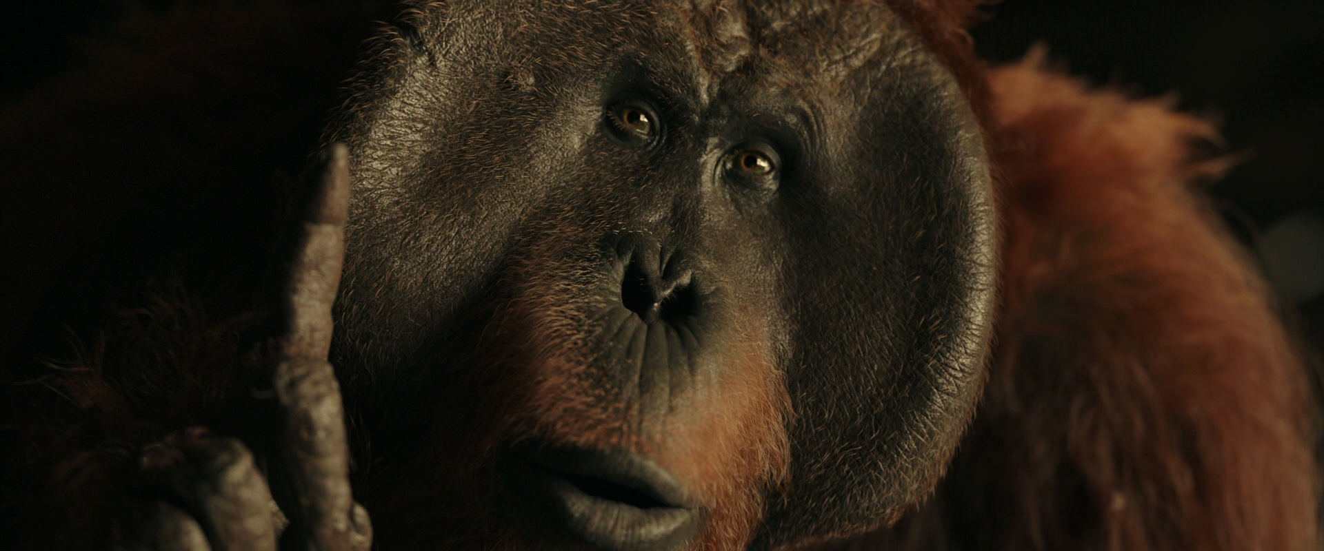 War for the Planet of the Apes (2017) HD screenshot 3701