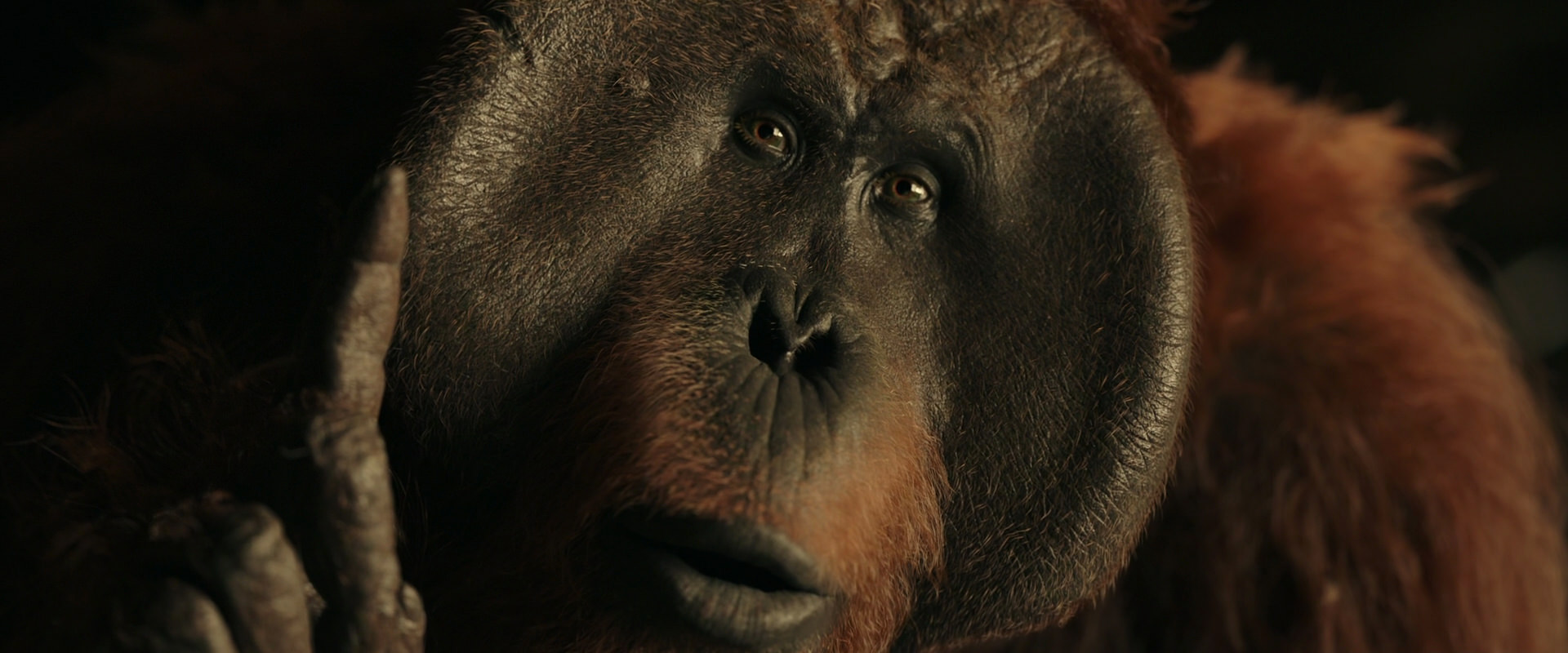 War for the Planet of the Apes (2017) screencap 3702