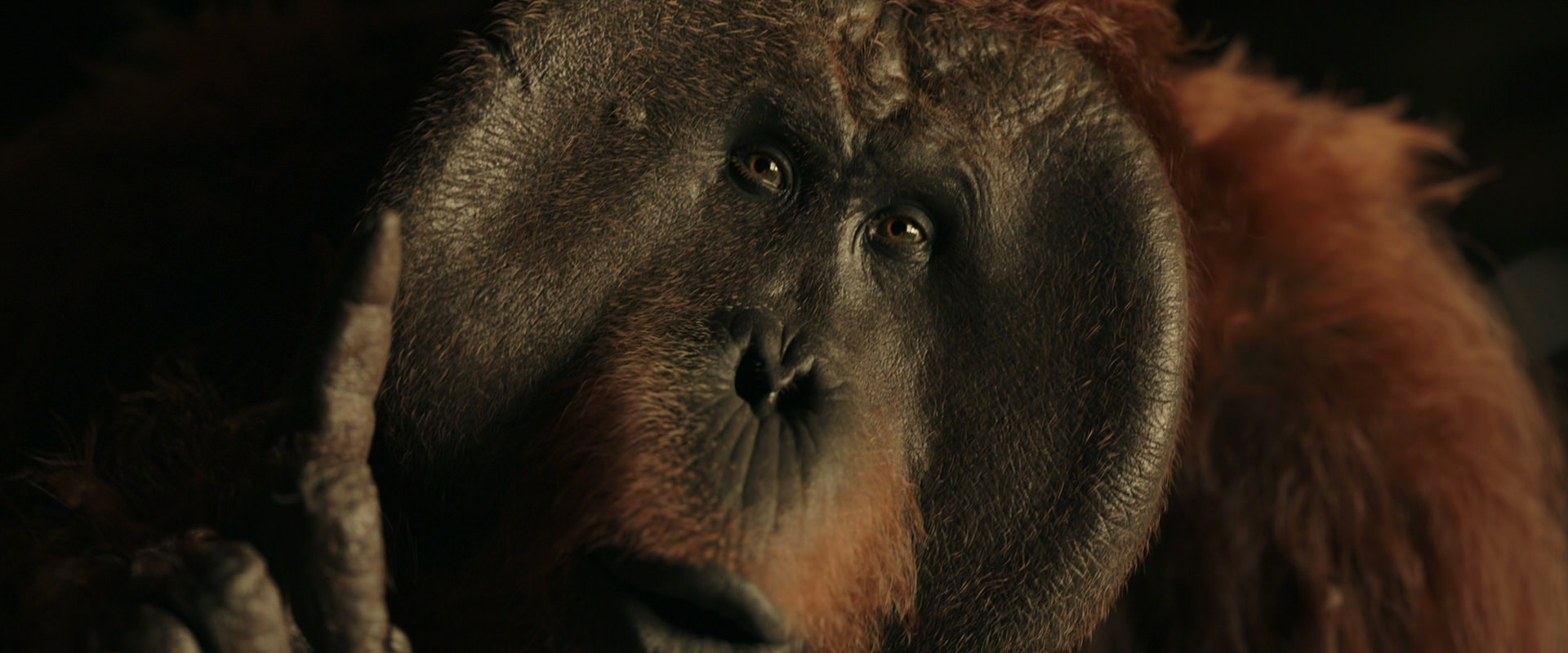 War for the Planet of the Apes (2017) HD screenshot 3704