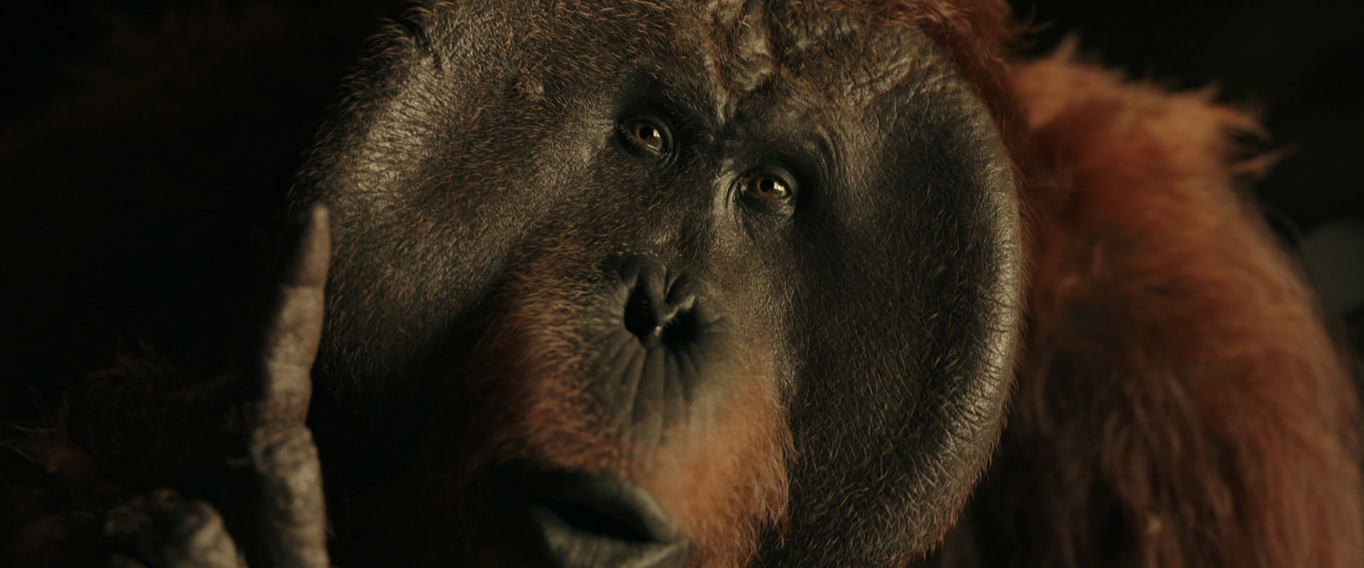 War for the Planet of the Apes (2017) screencap 3705