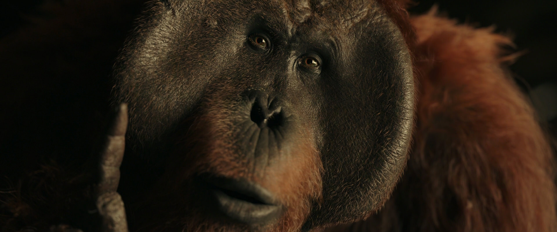 War for the Planet of the Apes (2017) movie still 3706