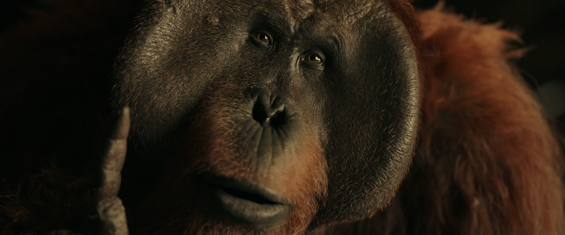 War for the Planet of the Apes (2017) HD screenshot 3707