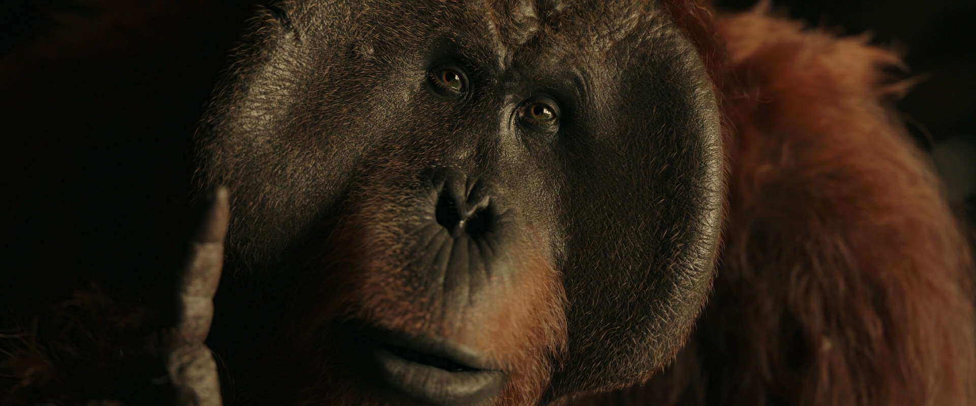 War for the Planet of the Apes (2017) screencap 3708
