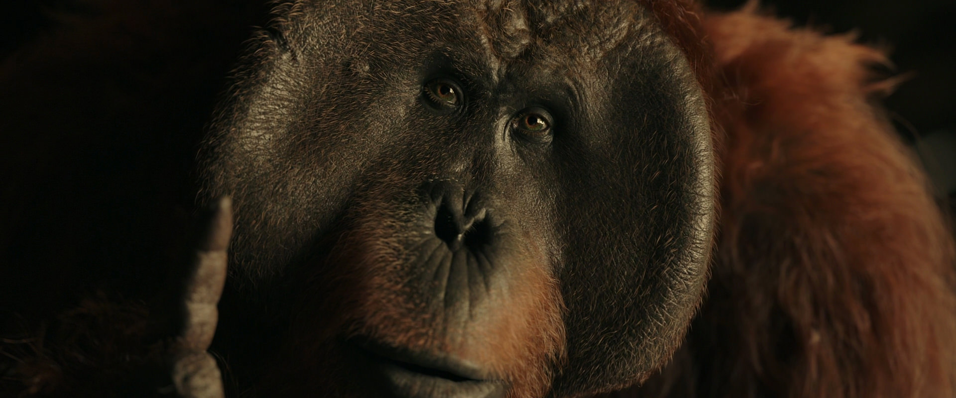 War for the Planet of the Apes (2017) movie still 3709