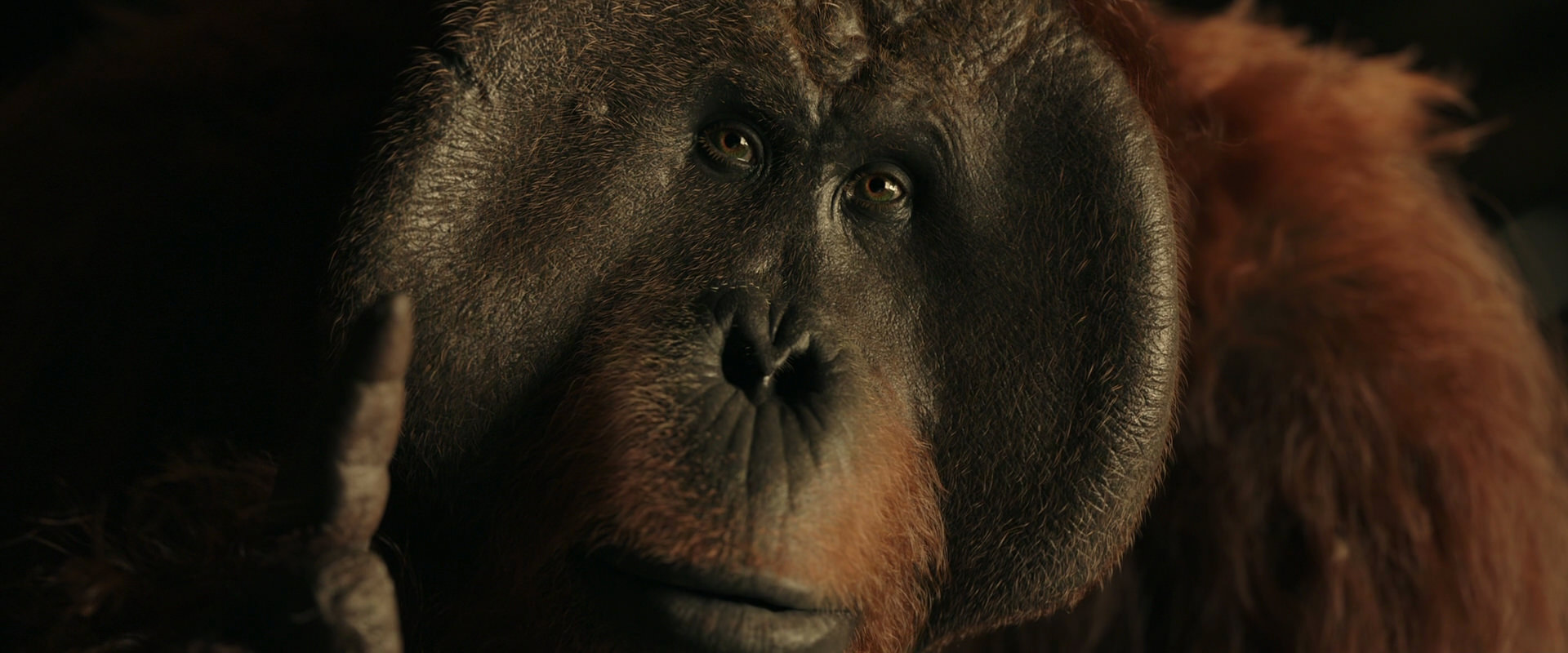 War for the Planet of the Apes (2017) HD screenshot 3710