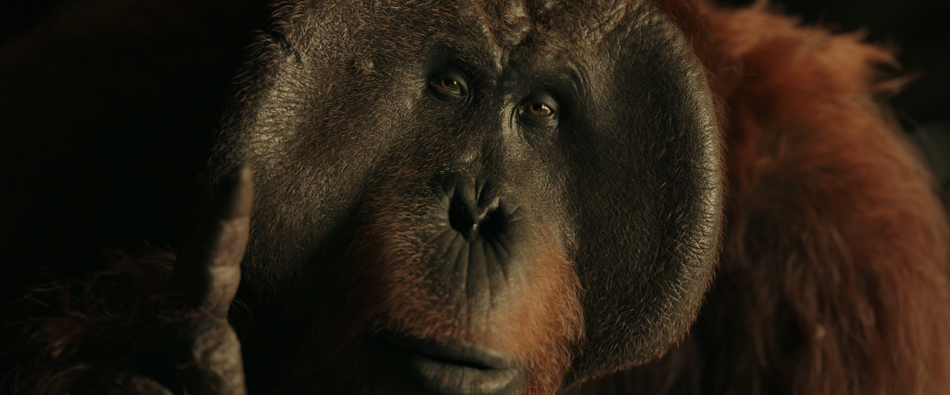 War for the Planet of the Apes (2017) screencap 3711