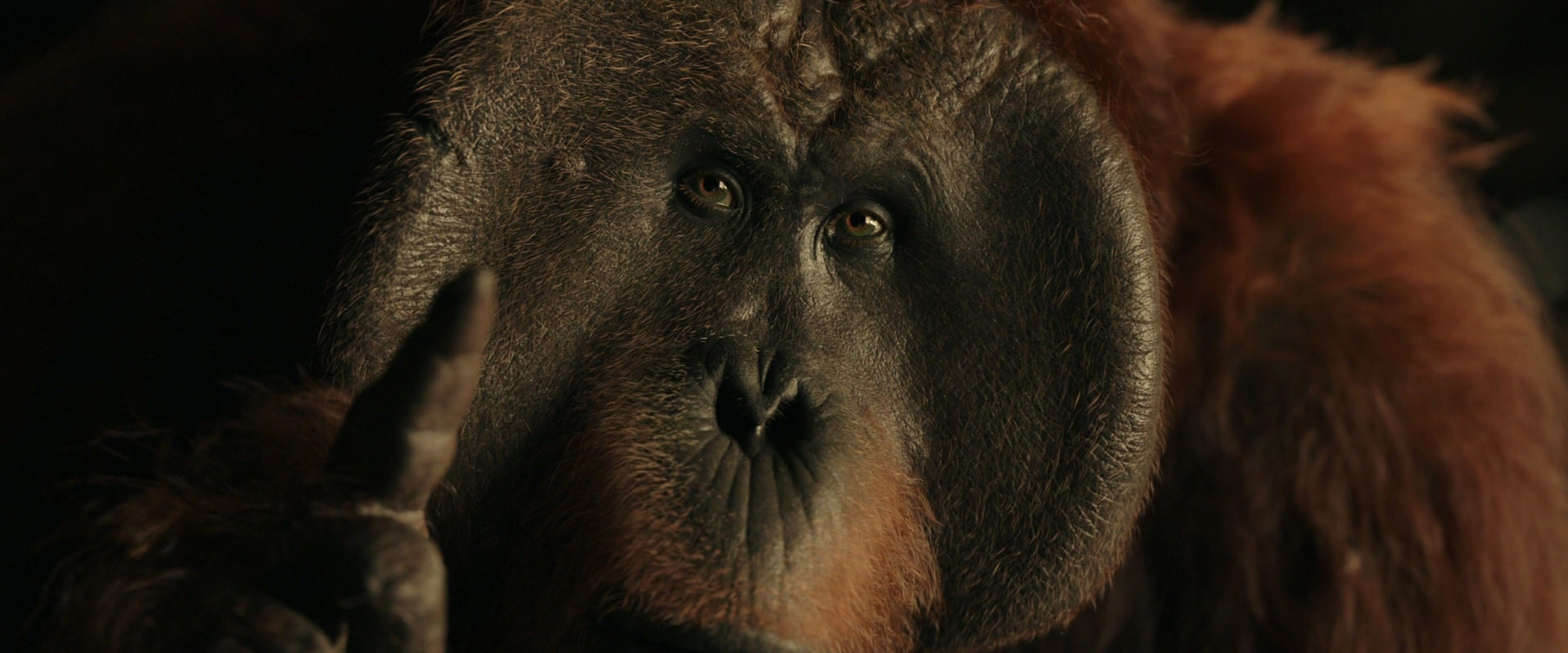 War for the Planet of the Apes (2017) movie still 3712