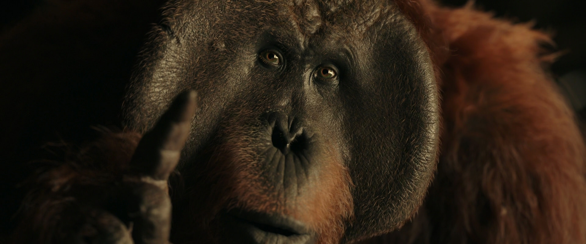 War for the Planet of the Apes (2017) HD screenshot 3713