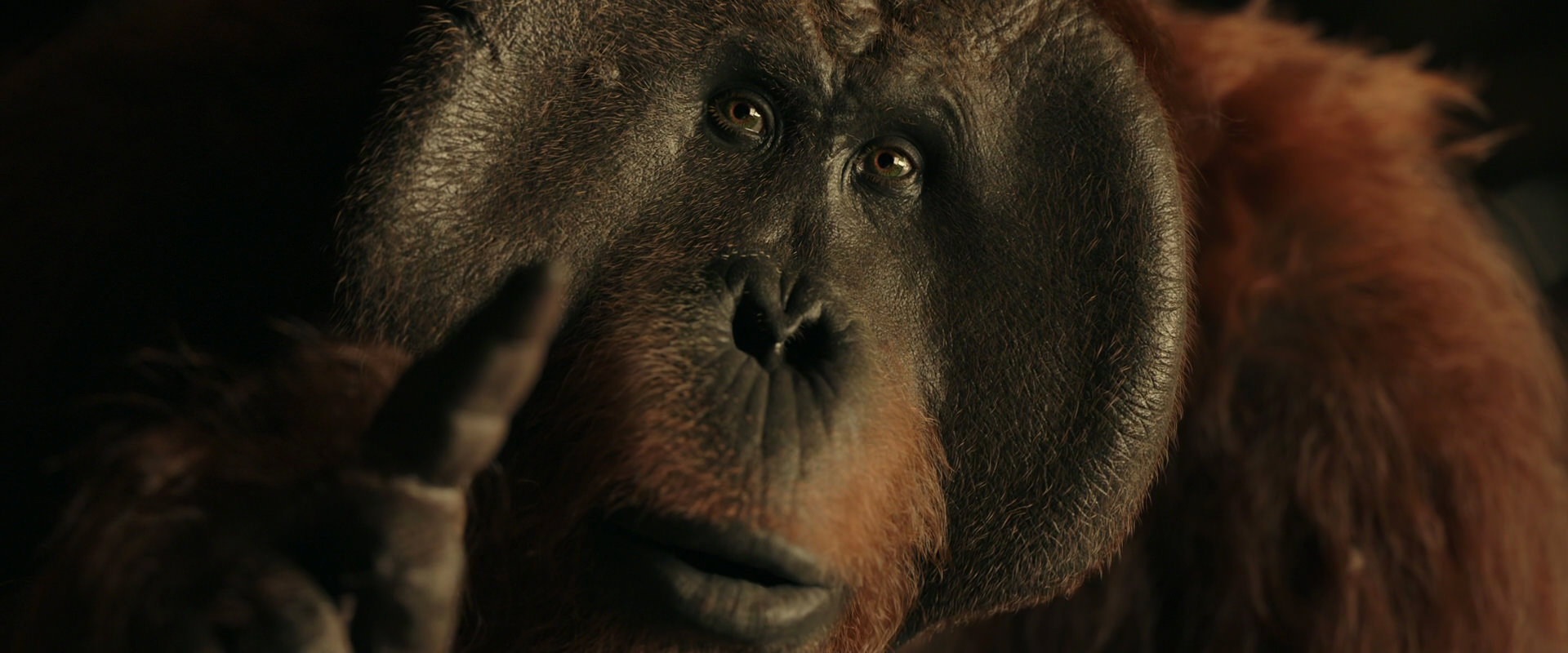 War for the Planet of the Apes (2017) screencap 3714