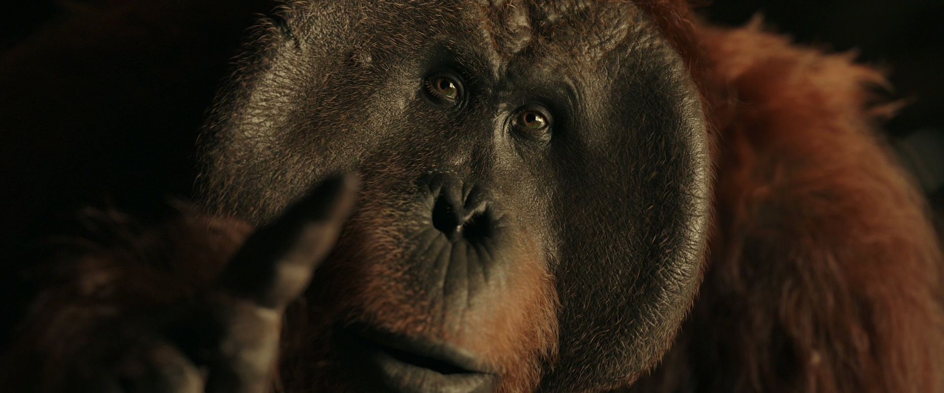 War for the Planet of the Apes (2017) movie still 3715