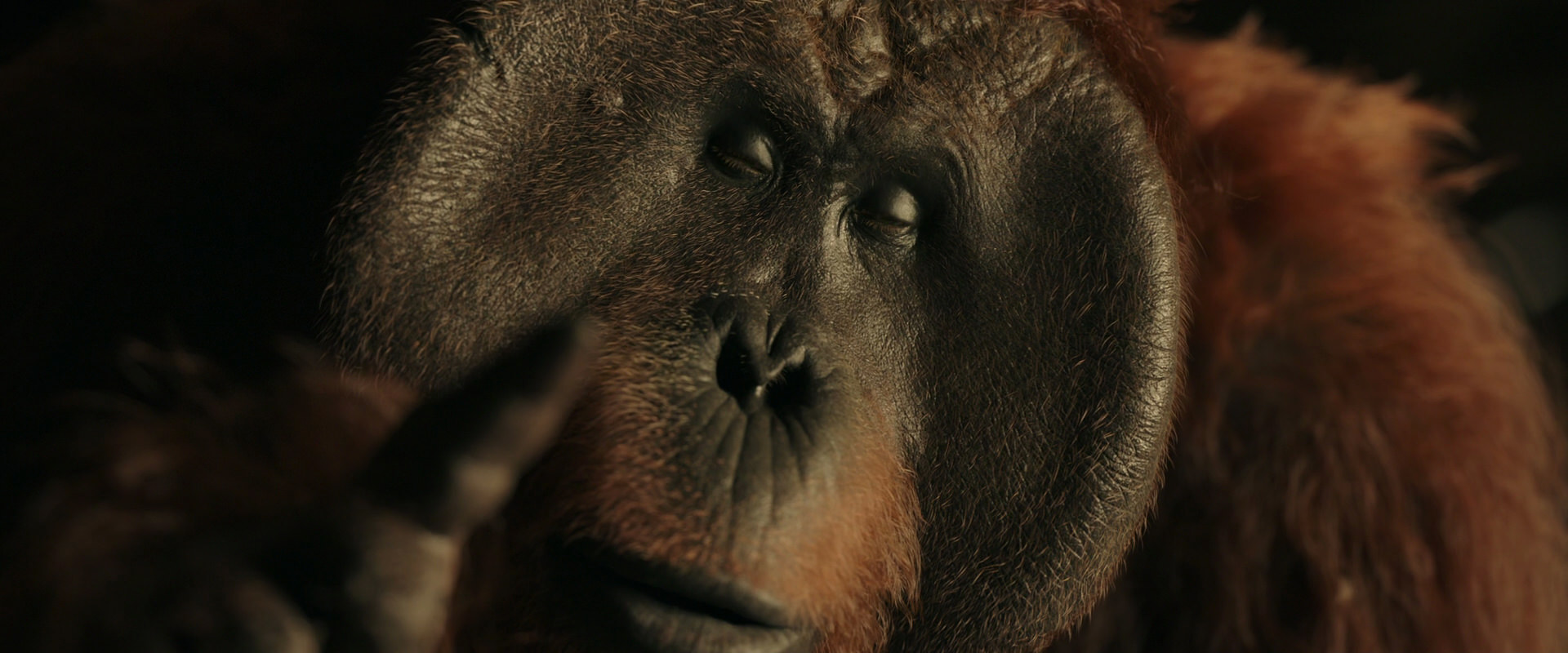 War for the Planet of the Apes (2017) HD screenshot 3716