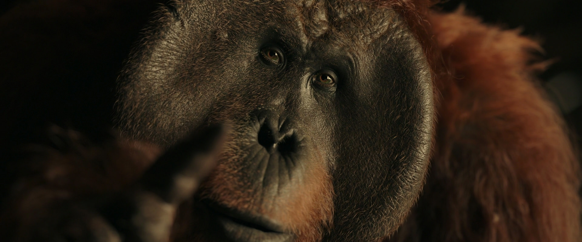 War for the Planet of the Apes (2017) screencap 3717