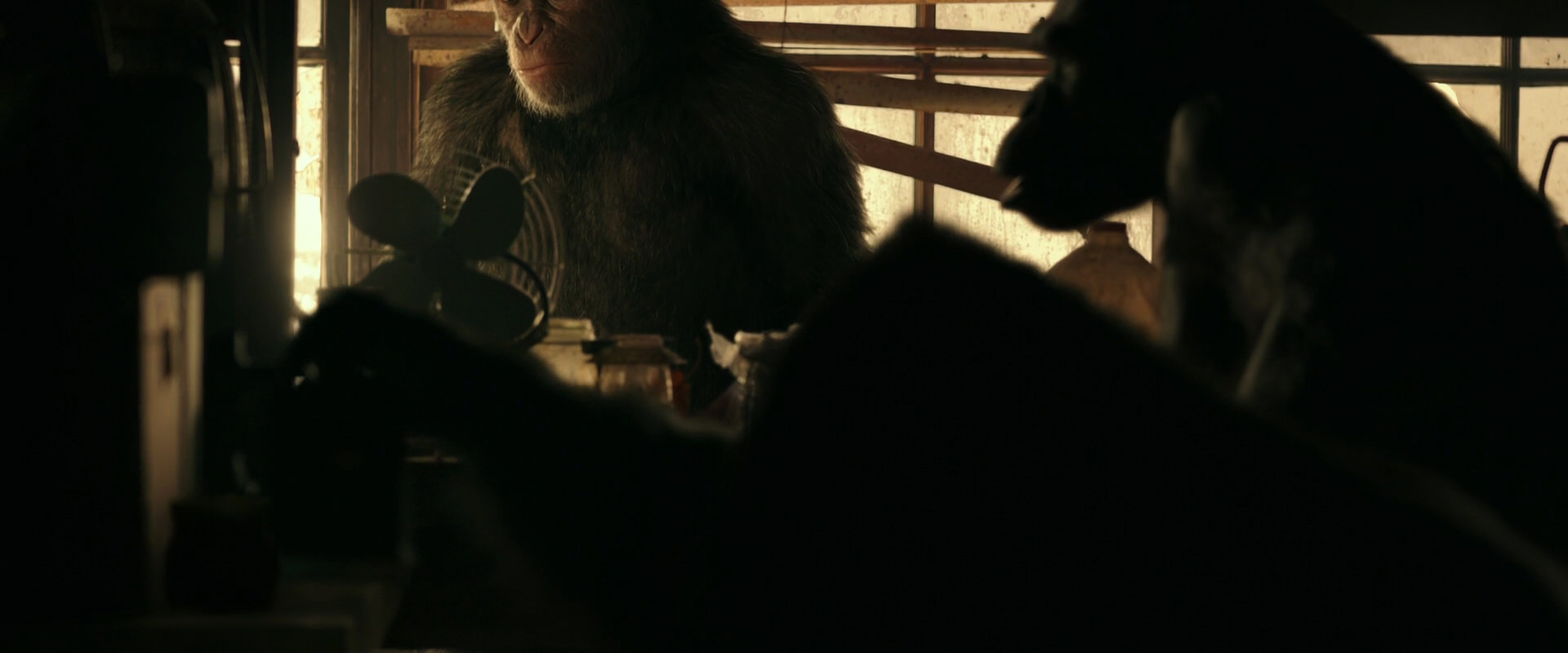 War for the Planet of the Apes (2017) movie still 3751