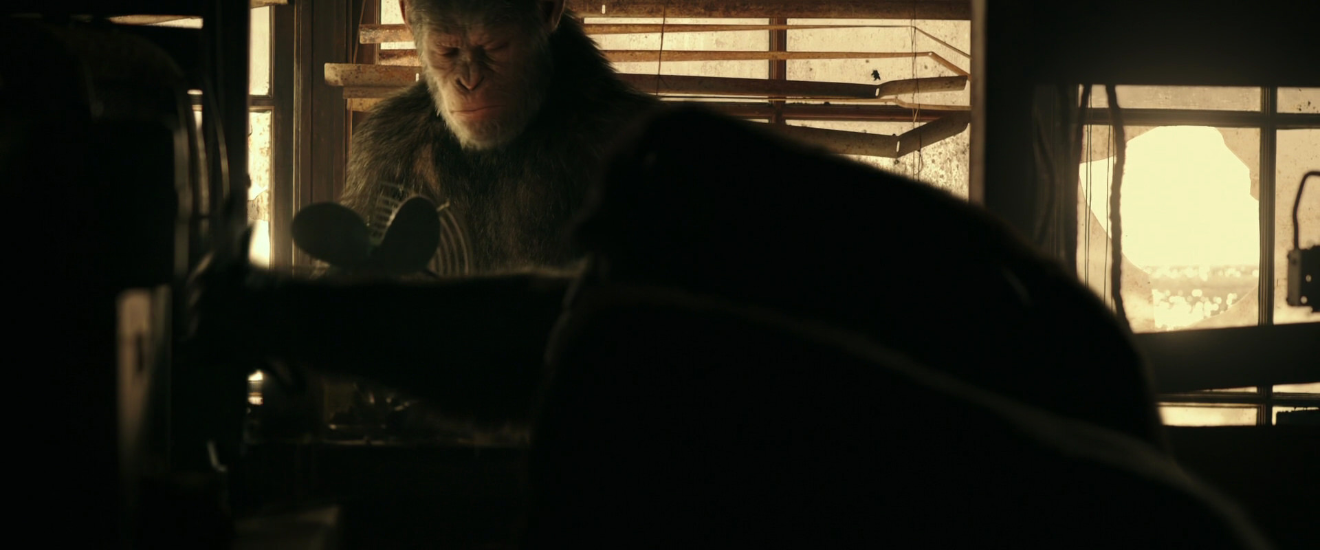 War for the Planet of the Apes (2017) screencap 3753