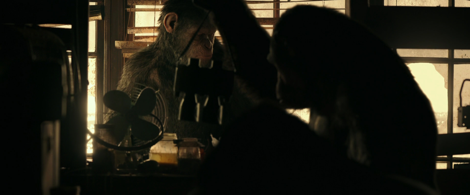War for the Planet of the Apes (2017) screencap 3756