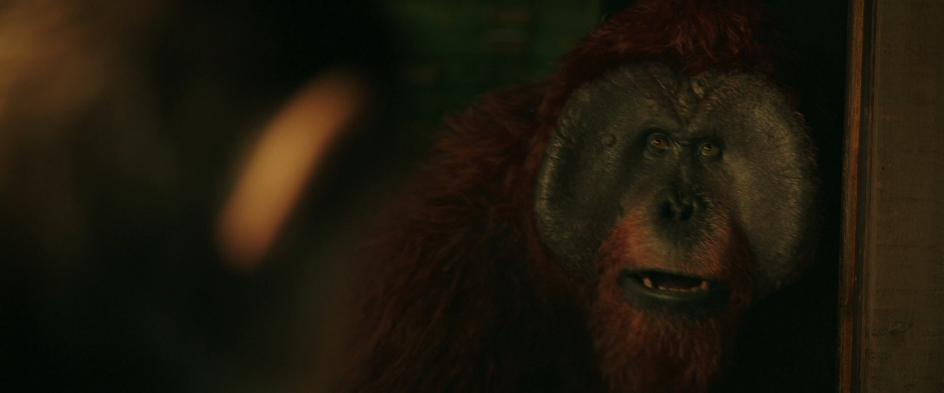 War for the Planet of the Apes (2017) HD screenshot 3758