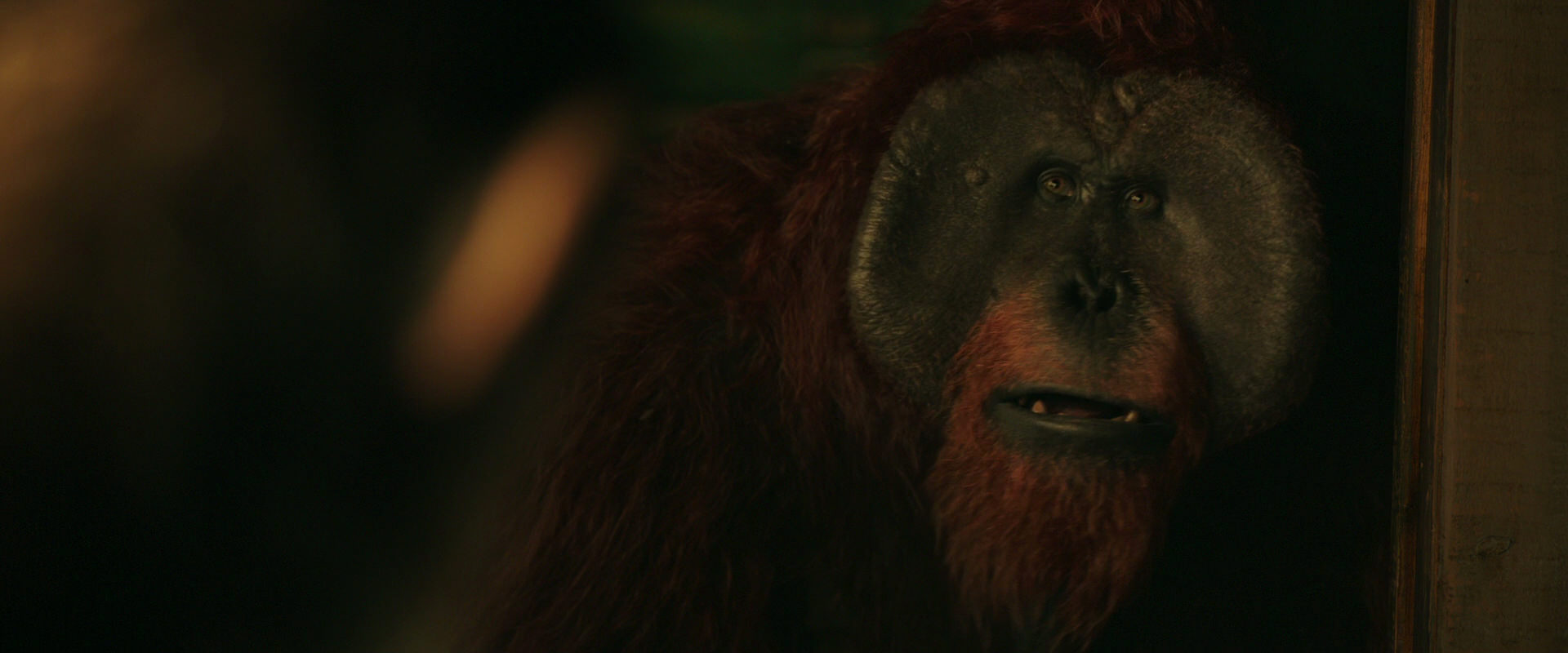 War for the Planet of the Apes (2017) screencap 3759