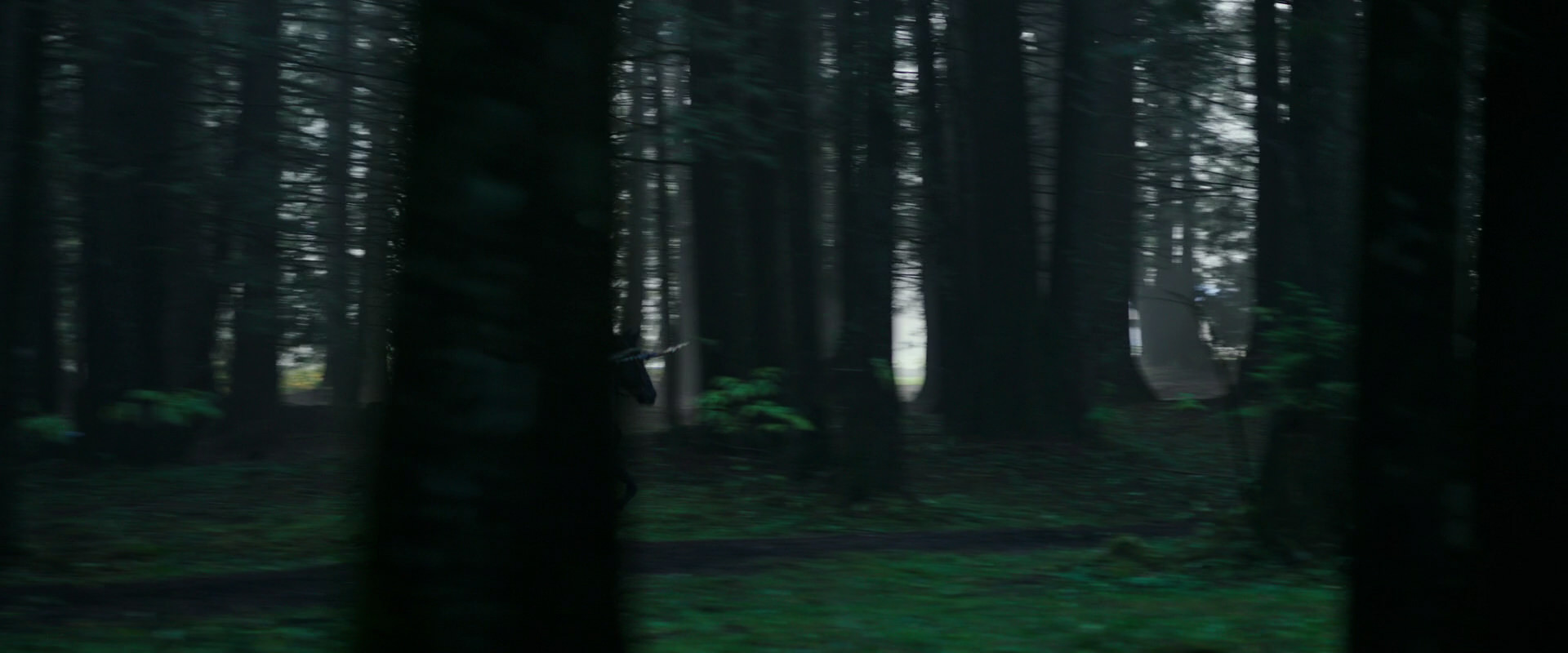 War for the Planet of the Apes (2017) movie still 376