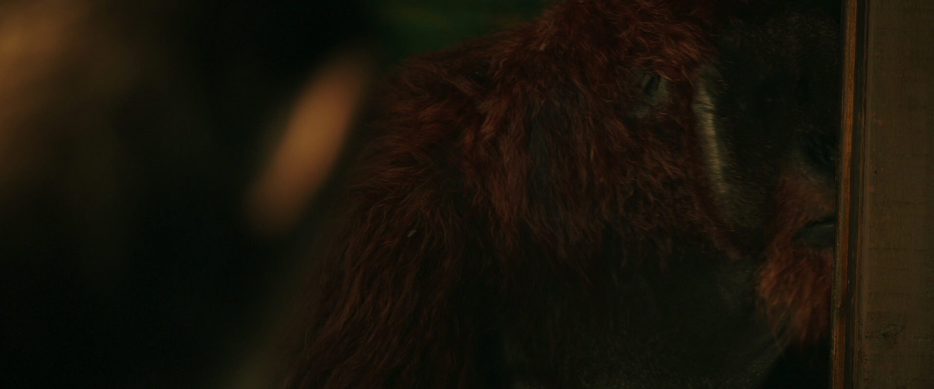 War for the Planet of the Apes (2017) movie still 3760