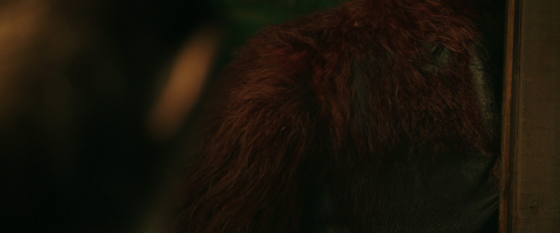 War for the Planet of the Apes (2017) HD screenshot 3761