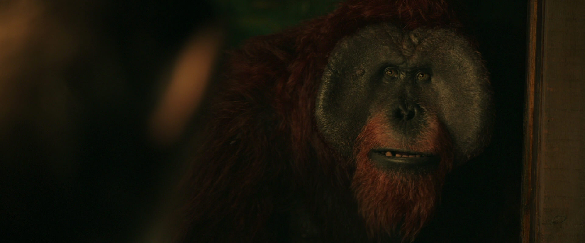 War for the Planet of the Apes (2017) movie still 3763