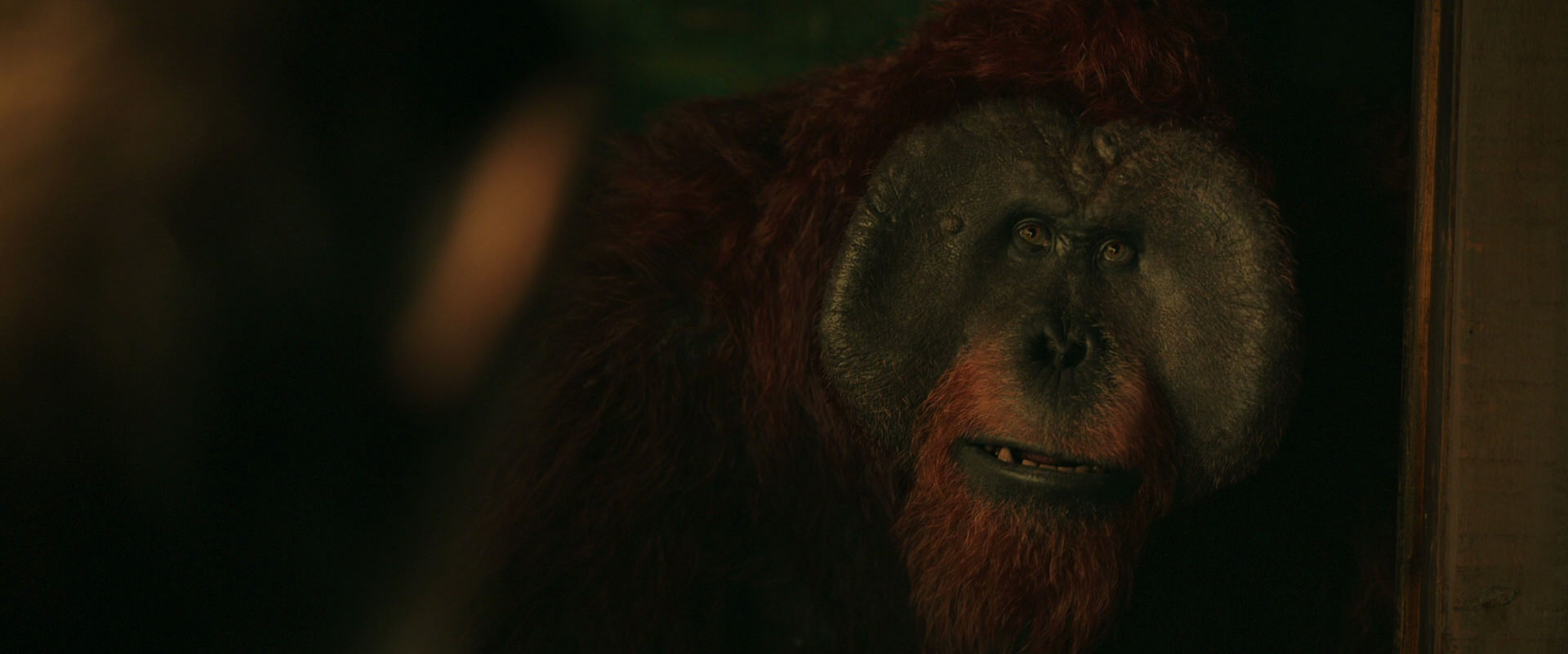 War for the Planet of the Apes (2017) HD screenshot 3764