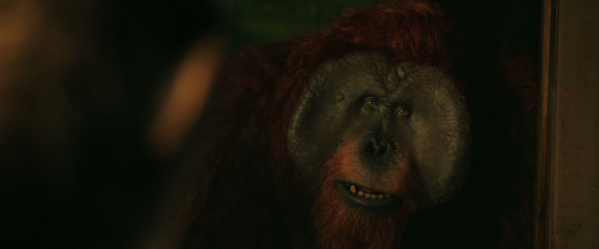 War for the Planet of the Apes (2017) screencap 3765