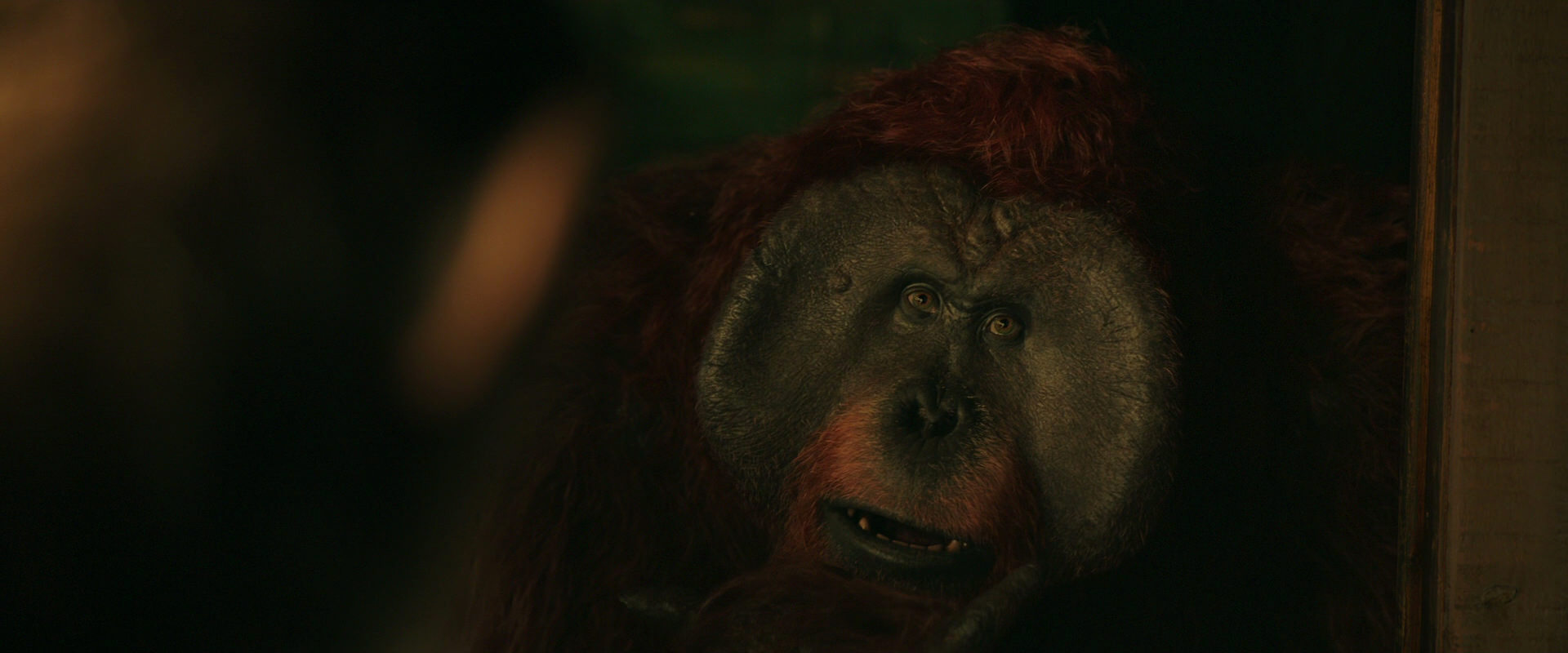 War for the Planet of the Apes (2017) movie still 3766