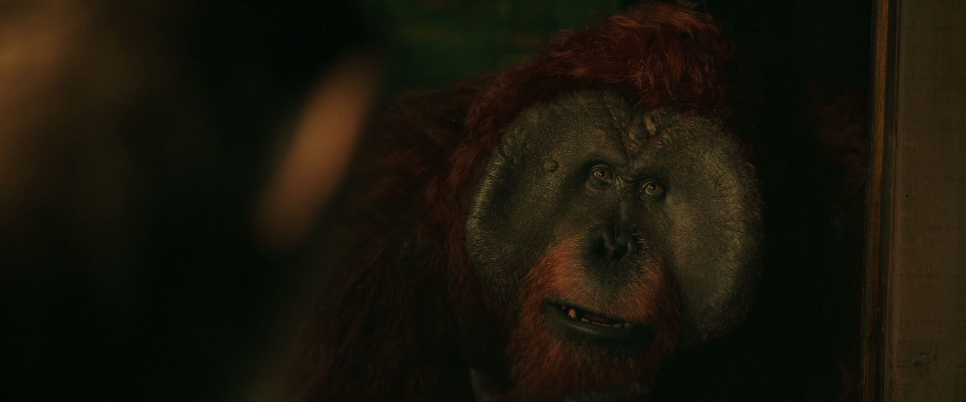 War for the Planet of the Apes (2017) HD screenshot 3767