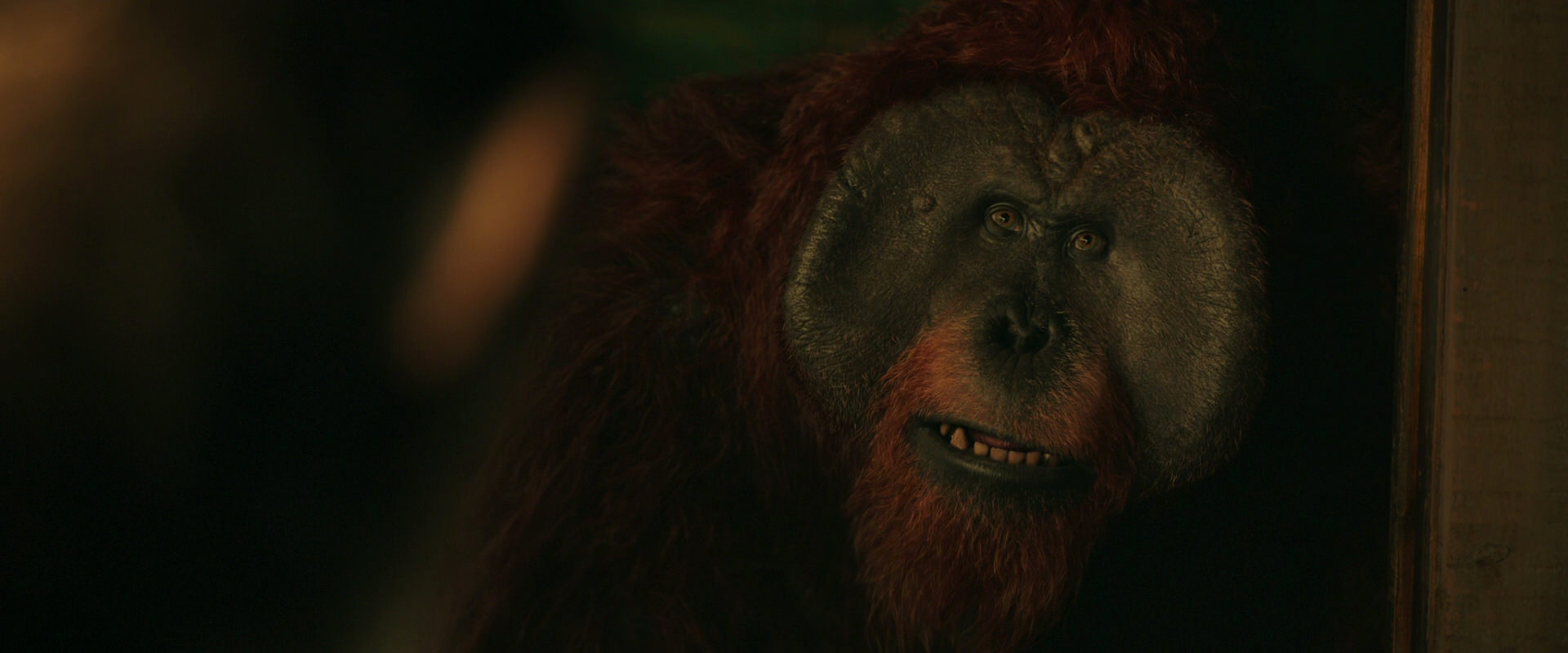 War for the Planet of the Apes (2017) HD screenshot 3770
