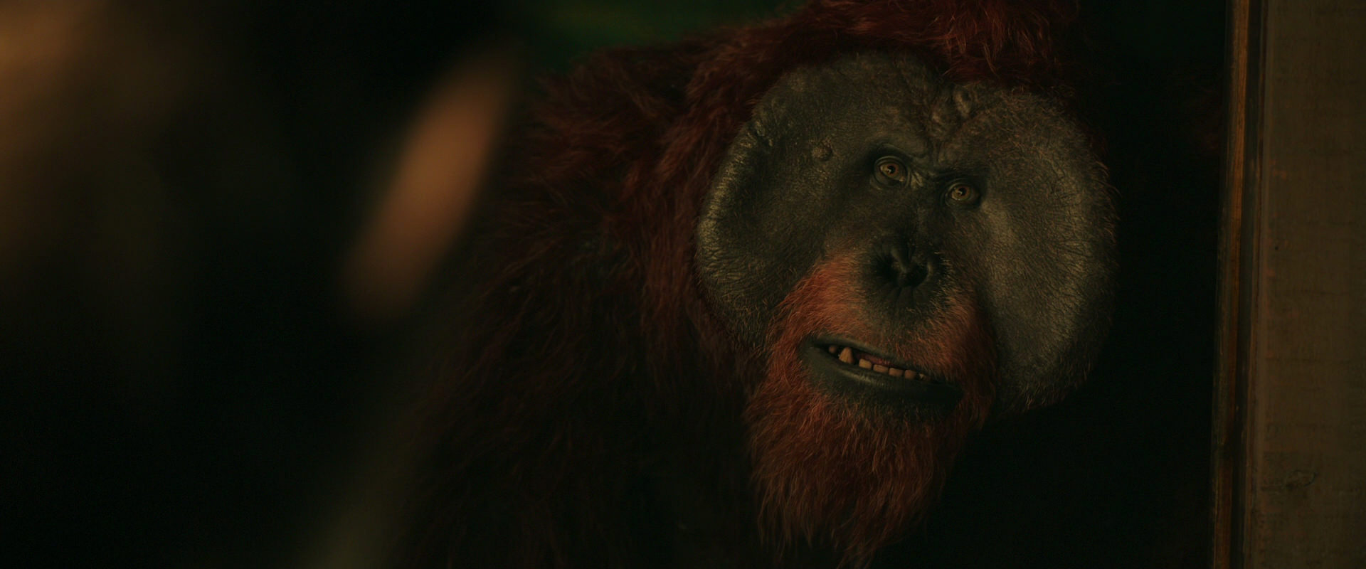 War for the Planet of the Apes (2017) screencap 3771