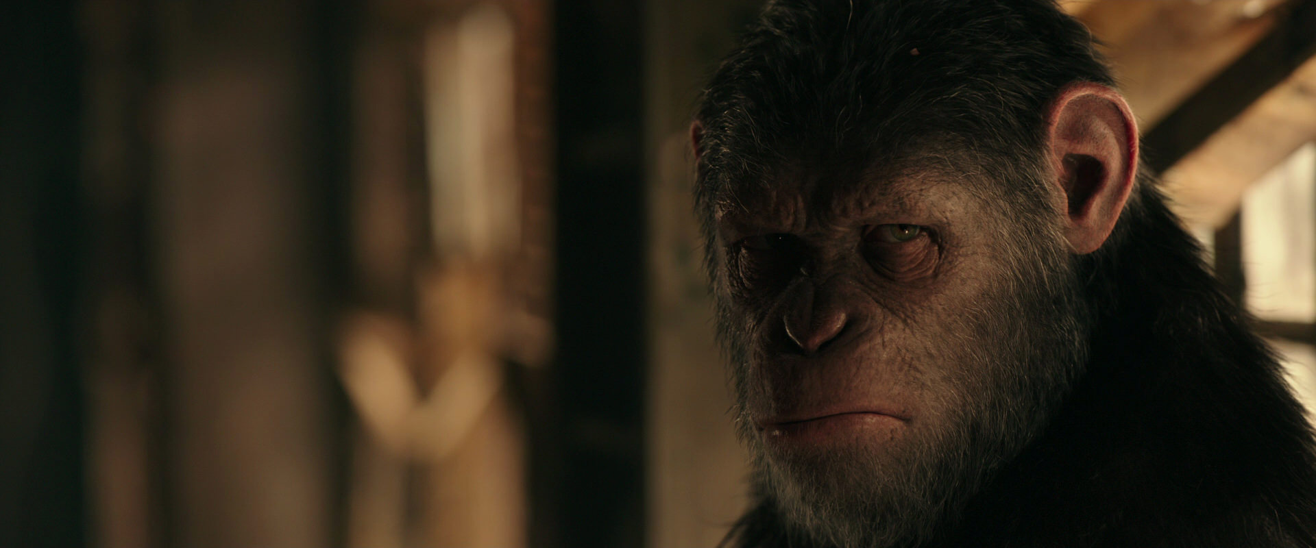 War for the Planet of the Apes (2017) movie still 3772