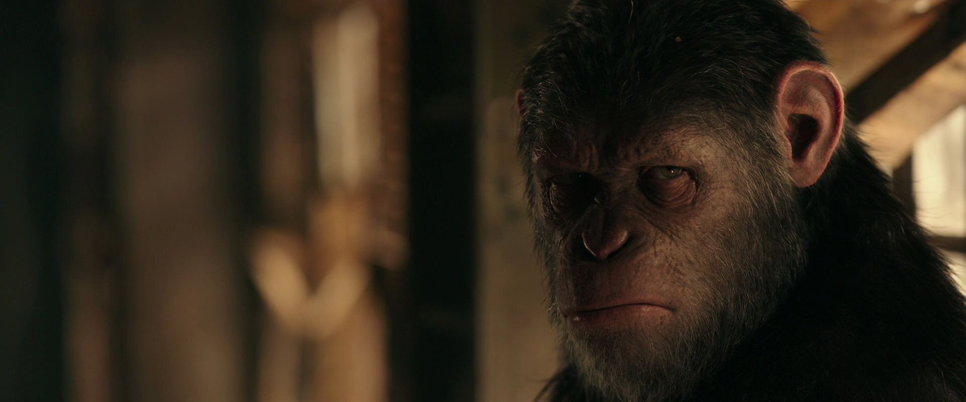 War for the Planet of the Apes (2017) screencap 3774