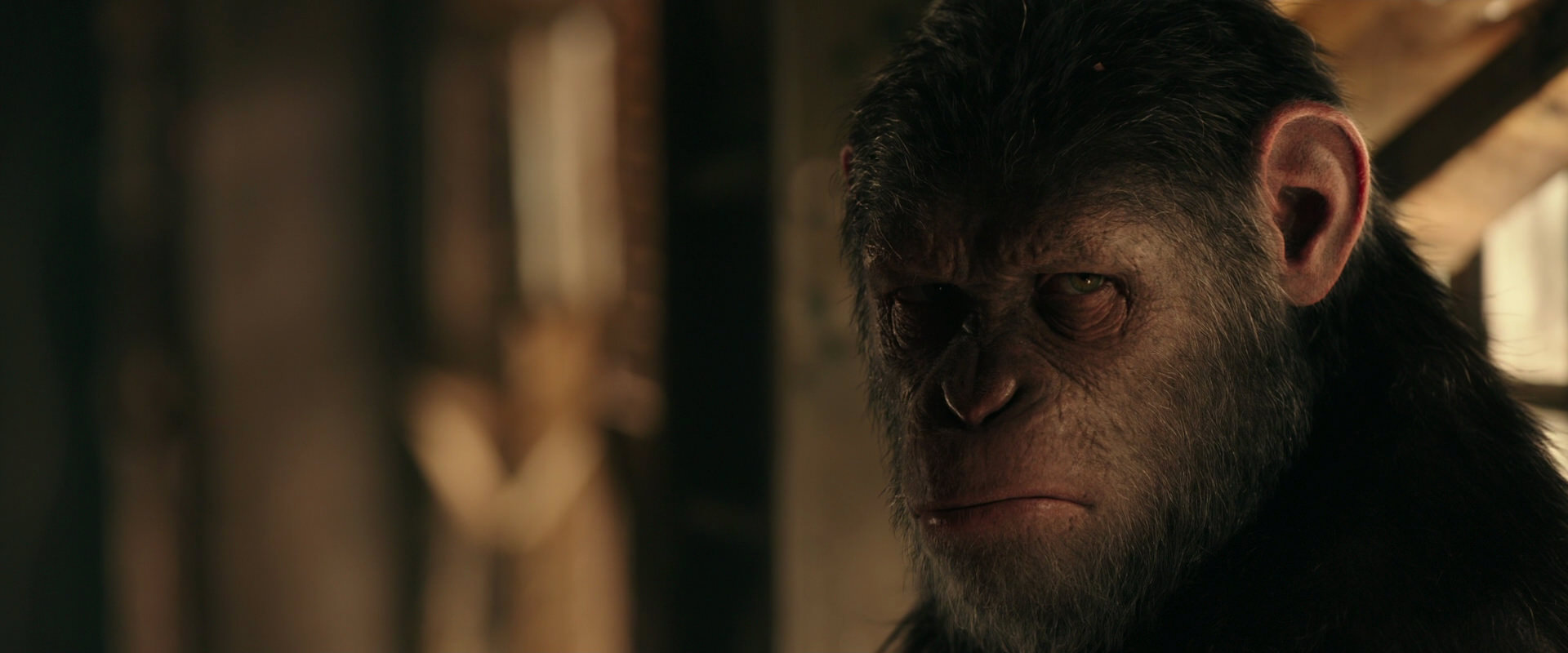 War for the Planet of the Apes (2017) movie still 3775
