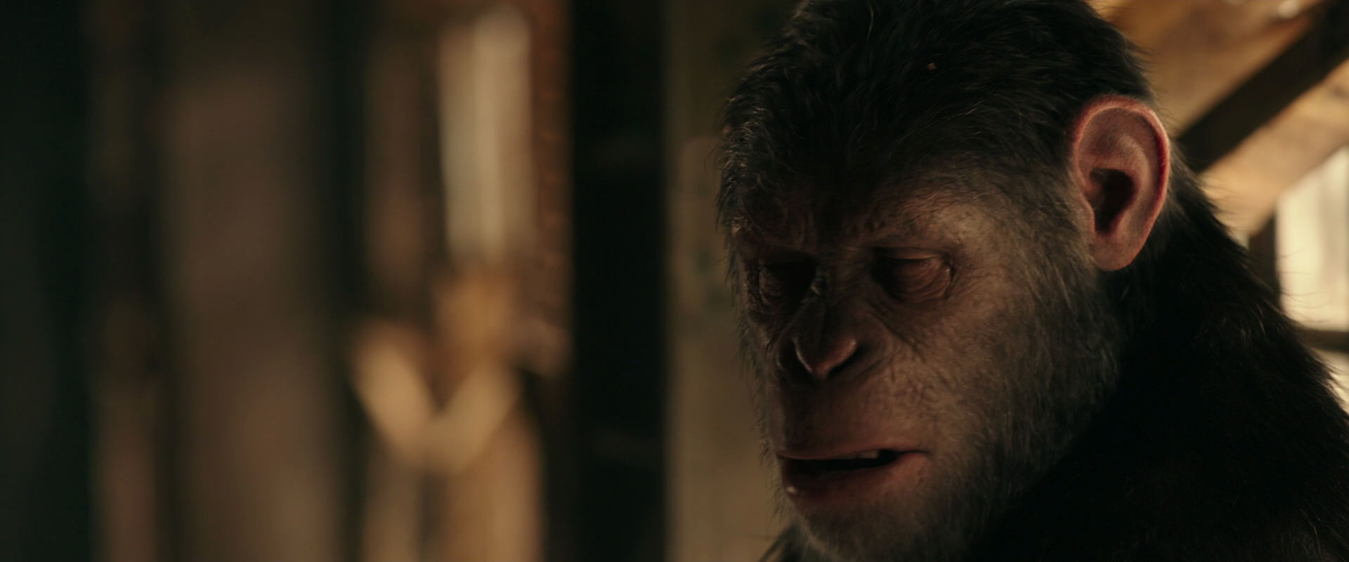 War for the Planet of the Apes (2017) HD screenshot 3776
