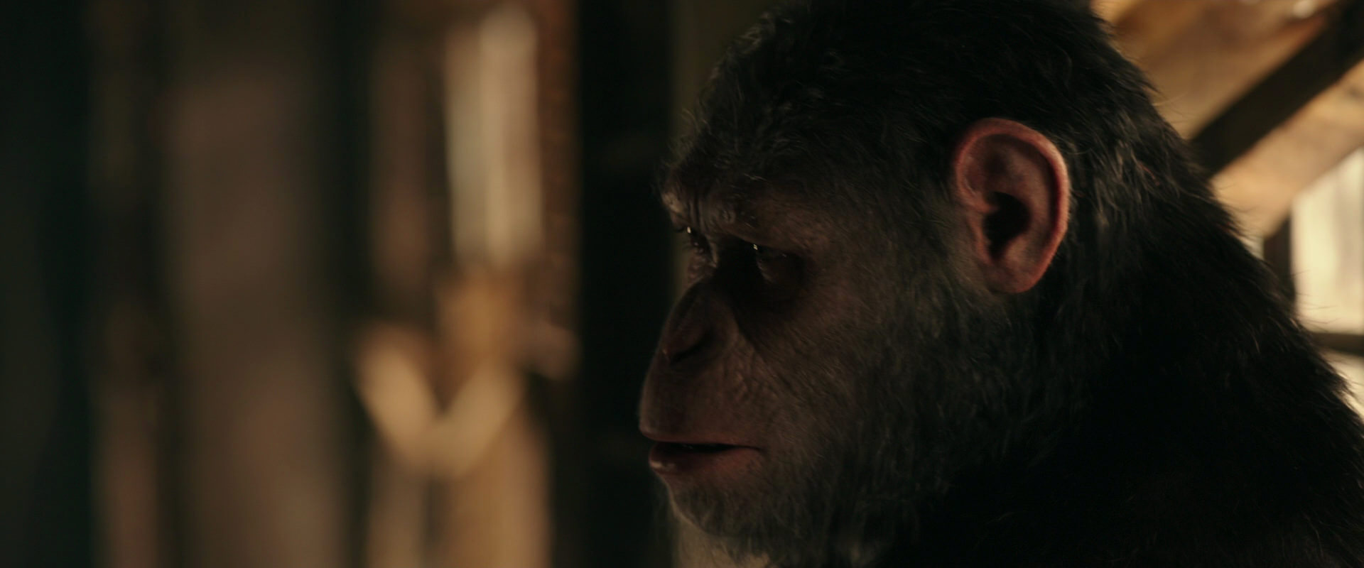 War for the Planet of the Apes (2017) screencap 3777
